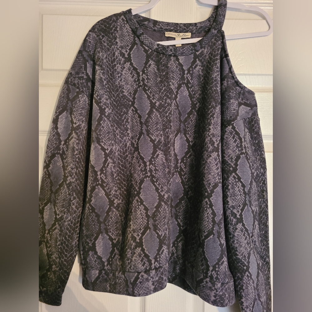 Express sweatshirt